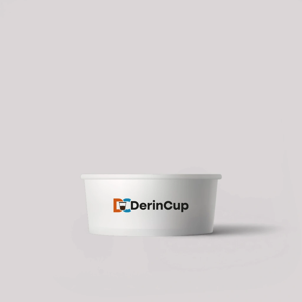 100 ml Dondurma Kabı