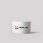 200 ml Dondurma Kabı